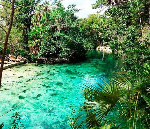Cenote Yax Kin Camping
